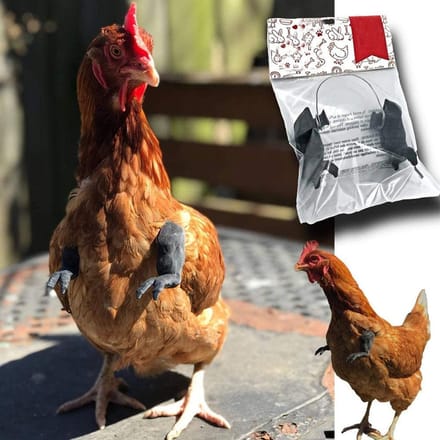 Kippenarmen Gagcadeau Kippen Kostuum Armen Speelgoed voor Vogel Kip zwart