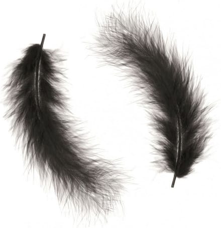 Glorex - Hobby knutsel veren - 45x - zwart - 16 cm - sierveren