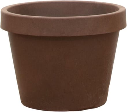 Lira Bronze - D65 x H58