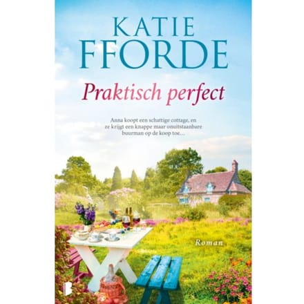 Praktisch Perfect - Katie Fforde