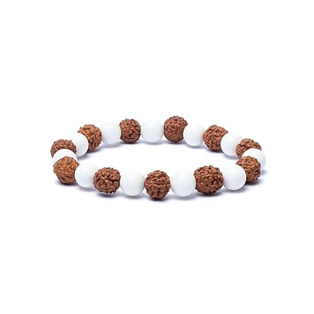 Armband rudraksha / schelp