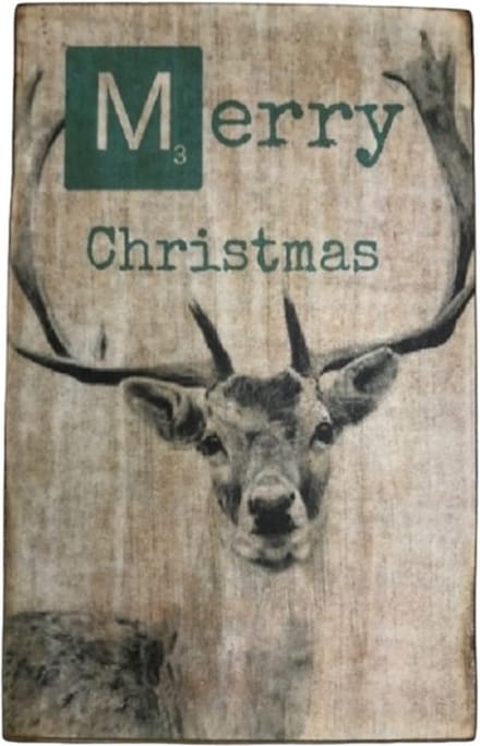 Tekstblok 15x22,5 2 cm dik Merry Christmas blue no2