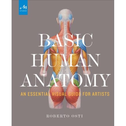 Basic Human Anatomy - Roberto Osti