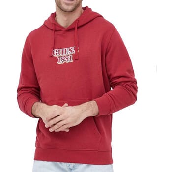Capuchon sweaters Guess Embro