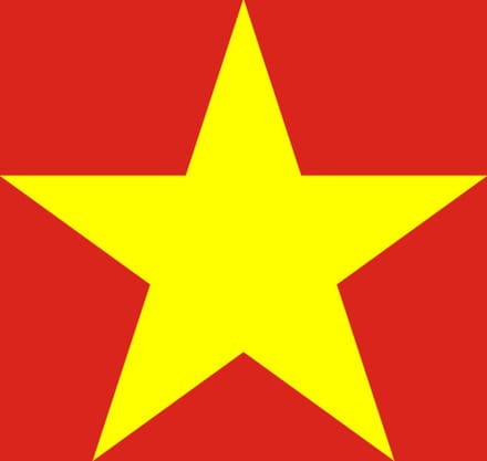 Vlag Vietnam 70x100cm
