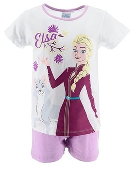Dinsey Princess Frozen Shortama Maat 98