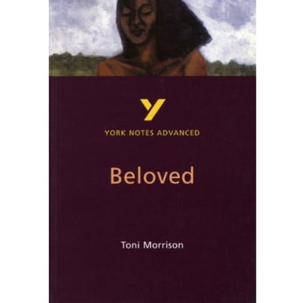 Toni Morrison 'Beloved': Everything You Need To Catch Up, Study And Prepare For 2025 Assessments - Laura Gray