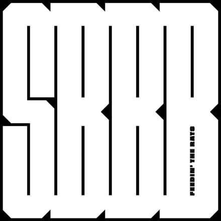 Stuurbaard Bakkebaard - Feeding The Rats (LP)