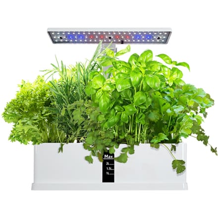 Smart Hydroponics kweeksysteem Indoor Herb Garden Kit 9 peulen Automatische timing met hoogte EU Plug