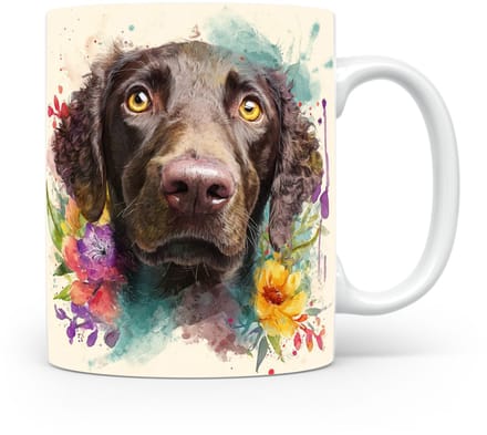 Beker Krulvacht Retriever