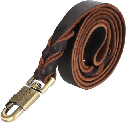 1pc Soft Leather Dog Collar & Leash in Braided Pet Chain (2.5 x 150cm) black