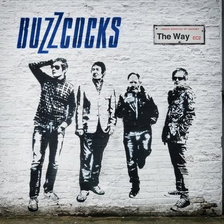 Buzzcocks - The Way (2 LP) (Coloured Vinyl)
