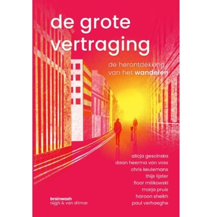 De Grote Vertraging - Diverse auteurs