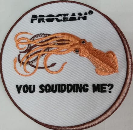 Badge Squidding me