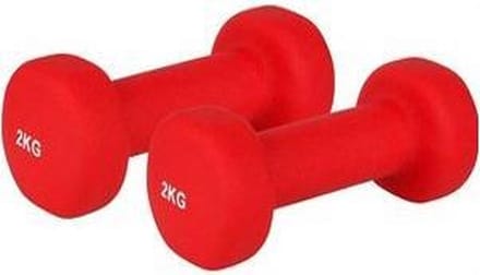 V3-Tec dumbbell set 2x 2 kg rood