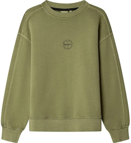 Pepe Jeans William Sweatshirt Groen 16 Years Jongen