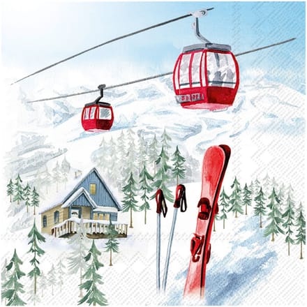 Servet "Skivakantie"