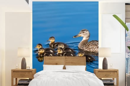 Behang - Fotobehang Eend - Water - Vogel - Bruin - Breedte 205 cm x hoogte 280 cm