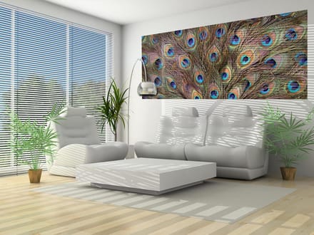 Peacock Feathers Photo Wallcovering