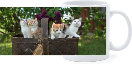 Beker - Mand met Kittens