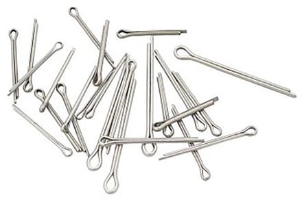 Pinnen