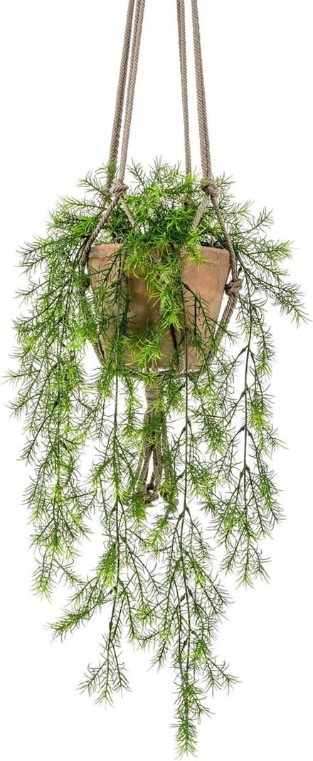 Asparagus Sprengeri Kunst Hangplant in stenen pot 75cm