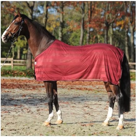 Paardenvliegendeken Kavalkade Stripe
