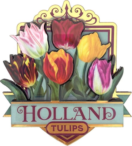 Magneet MDF pretty tulips Holland groen