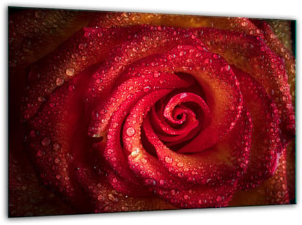 TMK ArtDeko - Gehard Glazen Snijplank - 30x22 cm - Roos