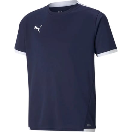 Kinder Sportshirt Puma Team Liga