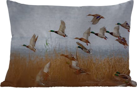 Buitenkussens - Tuin - Eend - Vogel - Riet - Water - Eenden - 50x30 cm