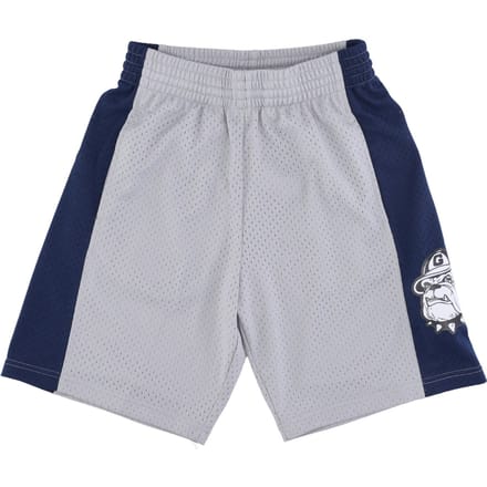 Basketbalshort heren NCAA Swingman Light Shorts Geohoy Chroom