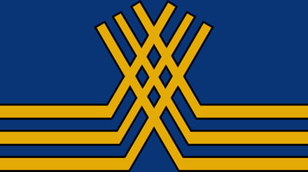 Vlag Stekene 100x150cm