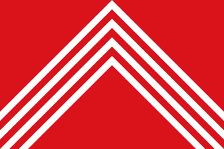 Vlag Brakel 100x150cm
