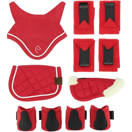Mini accessoire Equithème Pony Academy (x5)