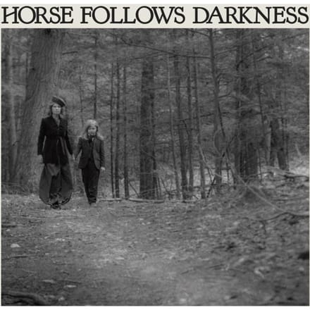 Vinyle LP DELIA GONZALEZ - Horse Follows Darkness DFA2522 DFA 2017 US Dance & Electronica