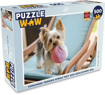 Puzzel Yorkshire Terrier speelt met een gekleurde bal - Legpuzzel - Puzzel 500 stukjes