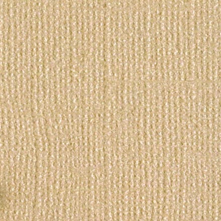 Bazzill Textuurpapier - Bling - 30.5x30.5cm - Blank Check - 25 vellen