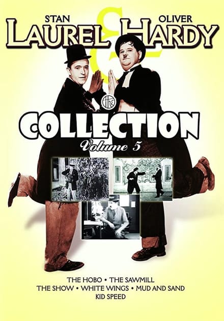 LAUREL & HARDY BOX 5 DVD