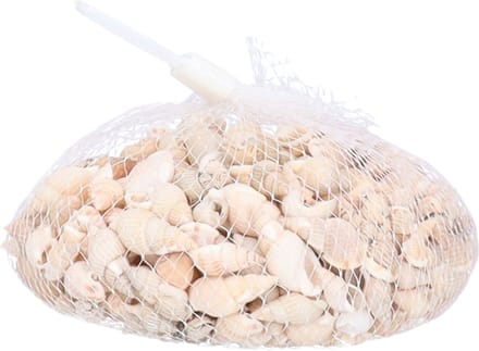 Rayher Schelpjes - posthoorn schelpen - decoratie - 150 gram - maritiem