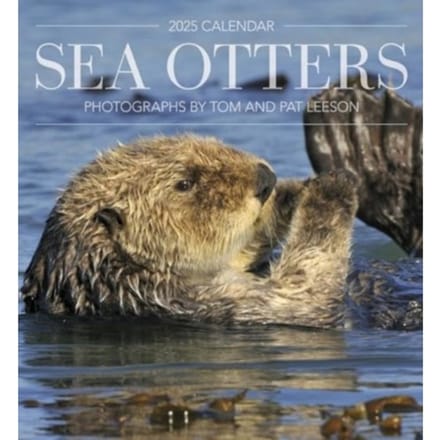 Sea Otters - Leeson, Tom