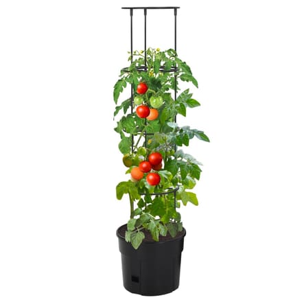 vidaXL - Tomatenkweekpot - ø29,5x115 - cm - polypropeen - antracietkleurig