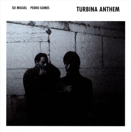 Turbina Anthem