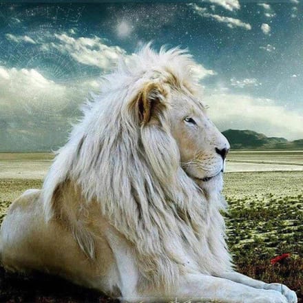 Diamond Painting Cartoon Borduurpakketten Sterrenbeeld Steentjes Dieren Mozaïek 30X30CM white