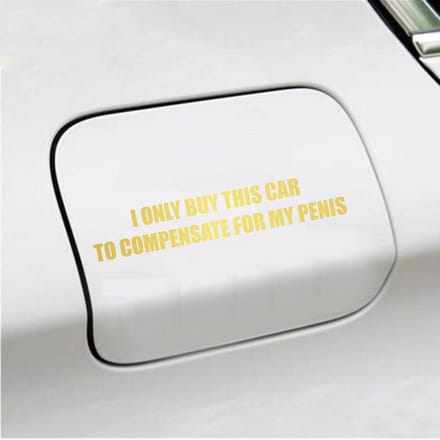 Bumpersticker - I Only Buy This Car - 3,5 X 19,6 - Goud