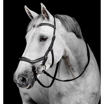 Hoofdstel Horseware Micklem Deluxe