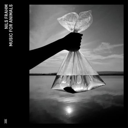 Nils Frahm - Music For Animals (4 LP) (Coloured Vinyl)