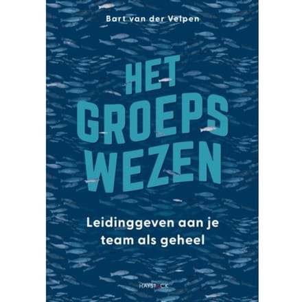 Het Groepswezen - Bart van der Velpen