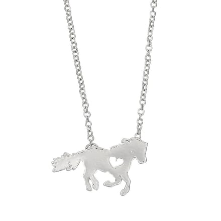 Halsketting met pony in paardenhoofddoosje