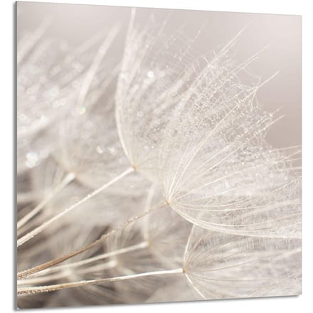 TMK ArtDeko - Serie - Glass Paneel - Keuken Decor - 60x65 cm